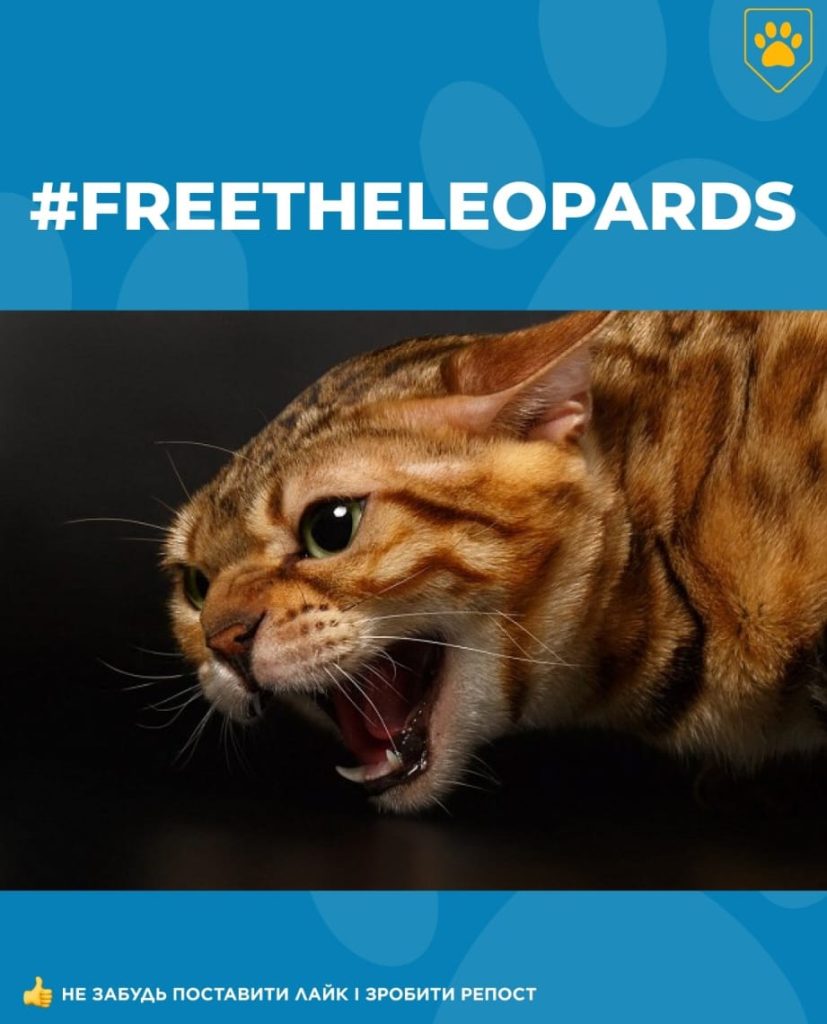 #FreeTheLeopards, l’hashtag pro-Ucraina in trend sui social